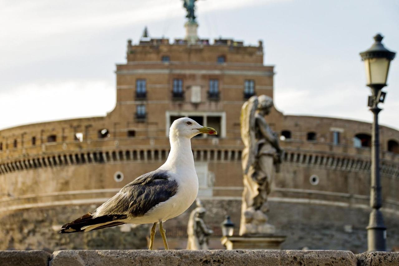 Roma Vatican Eksteriør bilde